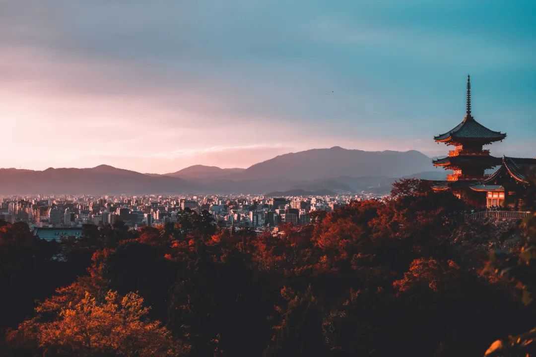 Japan's High Rankings in Global Assessments